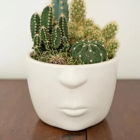 Lejlighed Luminosa Casetta Per Due